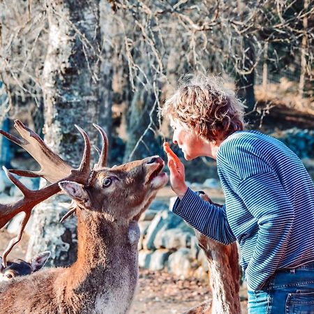 Vila Damwildfarm In Rollerbue Suedschweden Tyringe Exteriér fotografie