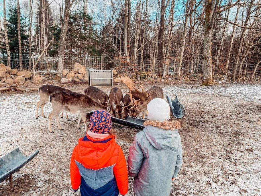 Vila Damwildfarm In Rollerbue Suedschweden Tyringe Exteriér fotografie