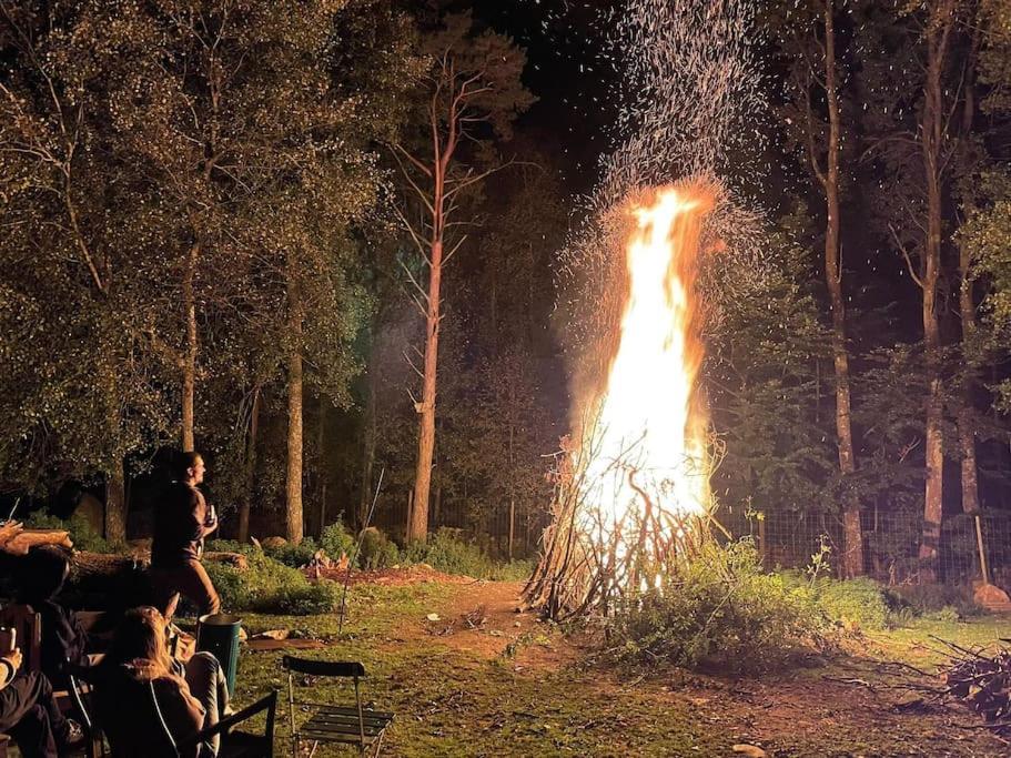 Vila Damwildfarm In Rollerbue Suedschweden Tyringe Exteriér fotografie