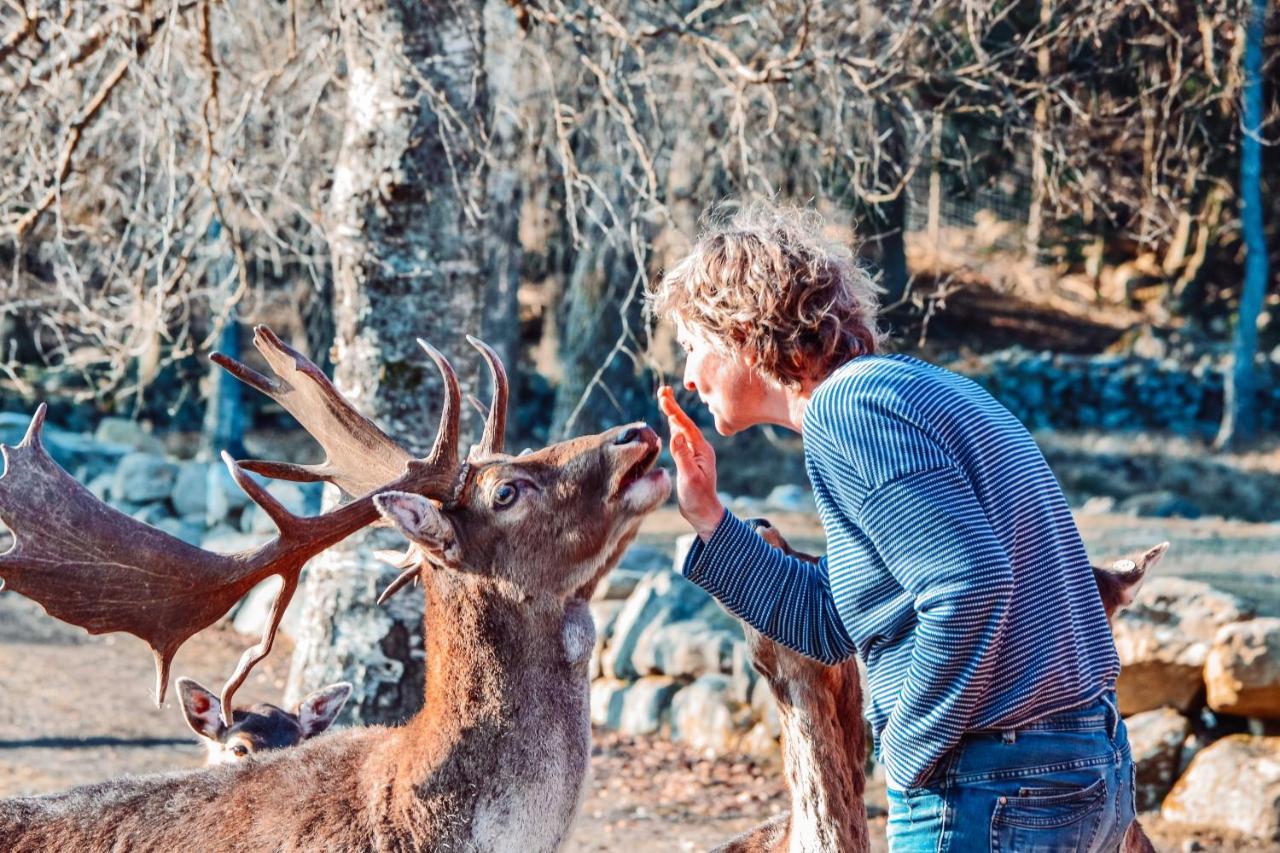 Vila Damwildfarm In Rollerbue Suedschweden Tyringe Exteriér fotografie