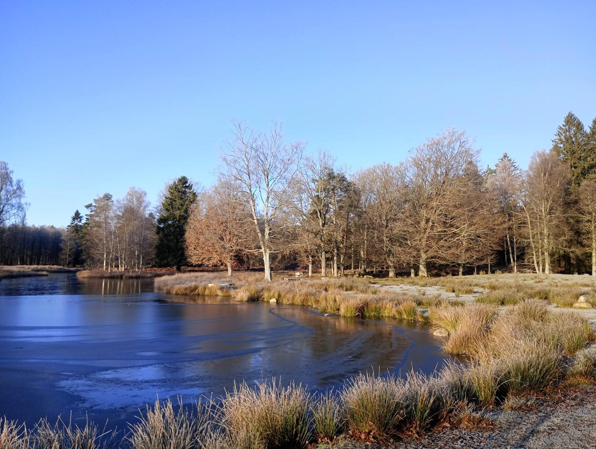 Vila Damwildfarm In Rollerbue Suedschweden Tyringe Exteriér fotografie